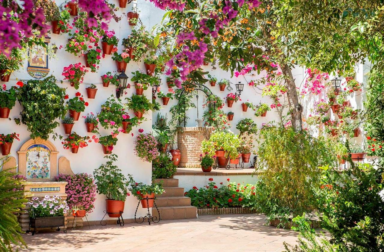 Apartamento Patios De San Lorenzo Cordoba Dış mekan fotoğraf