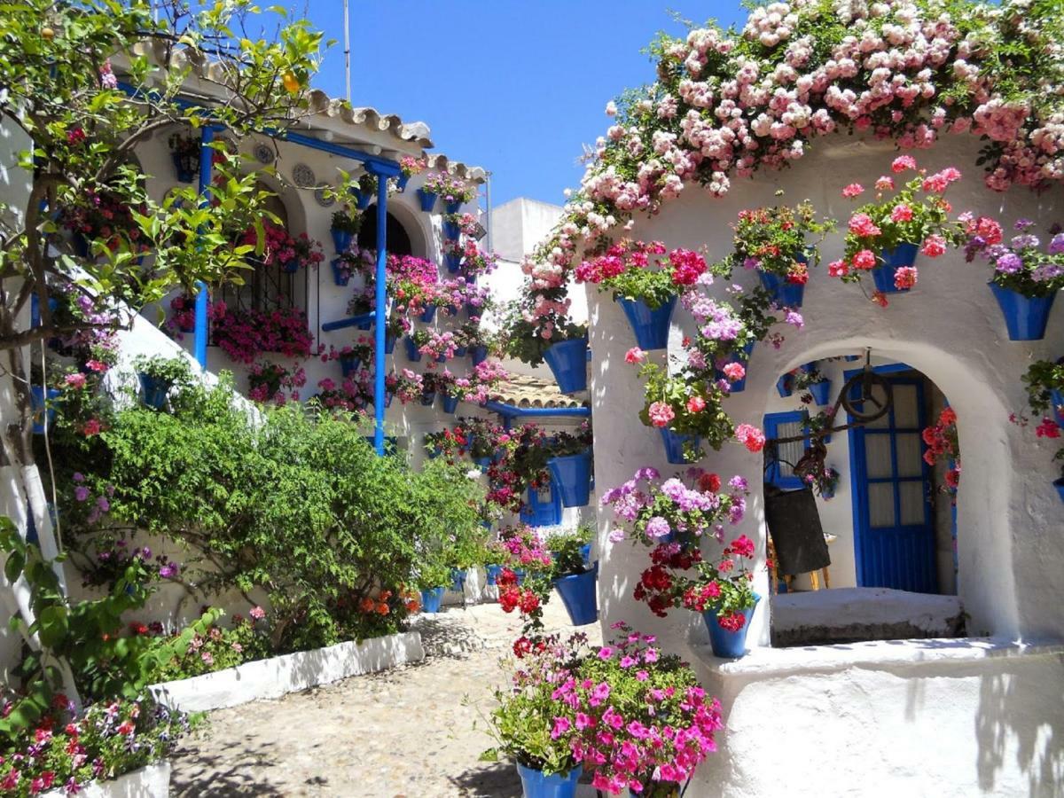 Apartamento Patios De San Lorenzo Cordoba Dış mekan fotoğraf